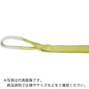 TRUSCO ポリエステルスリング JIS3級 両端アイ形 100mmX3.0m ( TPS100-30 ) トラスコ中山(株)