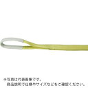TRUSCO ポリエステルスリング JIS3等級 両端アイ形 75mmX5.0m ( TPS75-50 ) トラスコ中山(株)