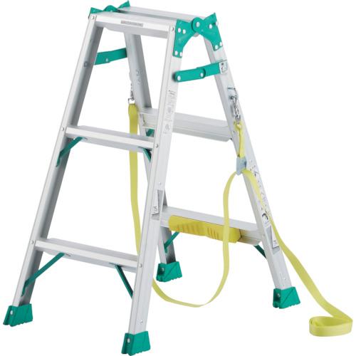 �ԥ� �����ѤϤ������ѵ�Ω ( JOB-BGA90E ) (��)�ԥ������ݥ쥤����� ( 1NT79 )