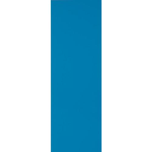 TRUSCO �ޥ��ͥåȥ����ȱ�ͭ100X300 �� ( MS-A1-B ) �ȥ饹���滳(��)