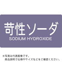 TRUSCO 配管用ステッカー 苛性ソーダ 横 極小 5枚入 ( TPS-CSY-SS ) トラスコ中山(株)
