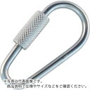 TRUSCO ナス型ミニキャッチ ステン 片ねじタイプ 2.5mm 2個入 ( TDRC-2.5 ) トラスコ中山(株)