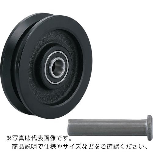 SUGATSUNE (200024799)�����Ѹͼ� ( JC110-150V ) �����ĥ͹���(��)