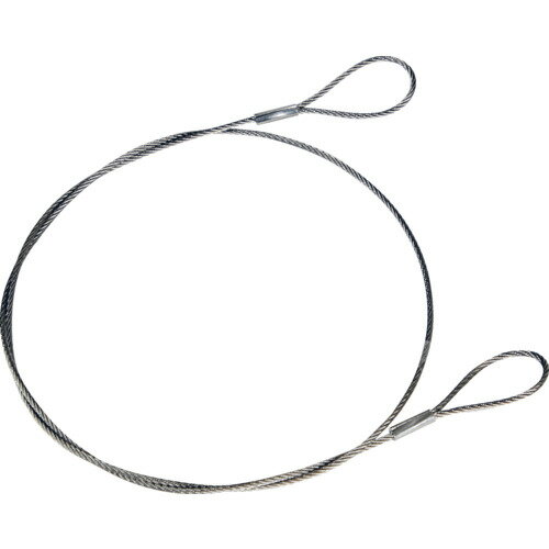 TRUSCO オールステンレスカットワイヤ 1.0ΦX300mm 両端アイ加工 ( SCW100-30 ) トラスコ中山(株)
