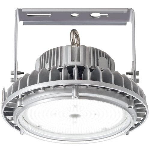 岩崎 レディオックハイベイシータ120Wオイルミスト対応形 ( EHWP12023W/NSAN9 ) 岩崎電気(株) ( BJMQV )