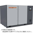 ORION インバータスクリュー真空ポンプ KSEシリーズ 空冷式 ( KSE4800-VH-01 ) オリオン機械(株)