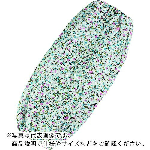 �����դ� �ӥ��С�ξ���� ���� ( N-880 ) �����դ�����(��)