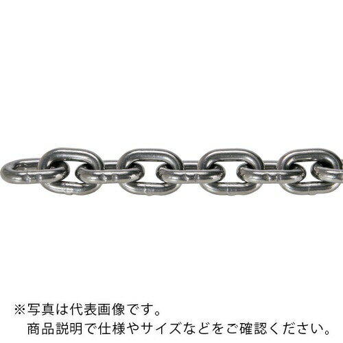 乐天商城 - TRUSCO ( トラスコ中山 ) JIS F2106第一種規格相当 ショートリンクチェーン スチール 磨き 線径6mm×長さ22.1M~23.0M ( TIC-6-SH-M-23C ) 【メーカー取寄】