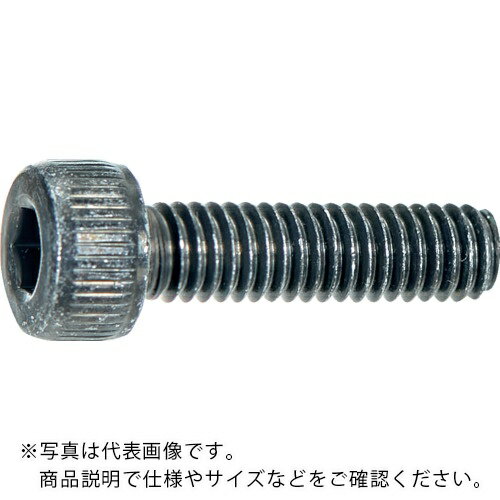 TRUSCO ( トラスコ中山 ) 六角穴付ボルト 三価黒 M2X4 (20本入り) 全ねじ ( S620-0204 )