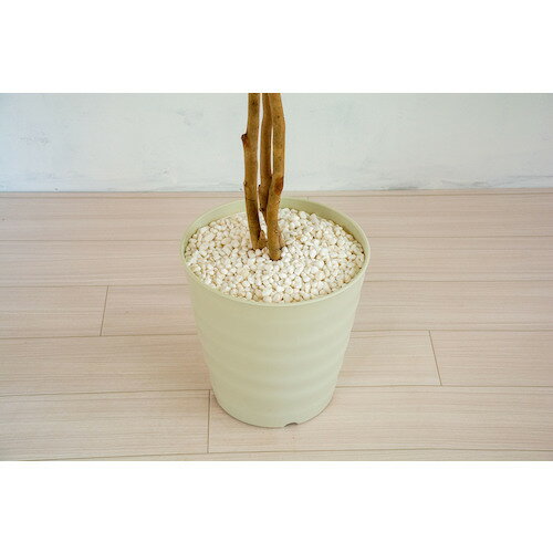 ���꡼�󥯥��� �͹�����/�͹����տ�ʪ �٥󥸥�ߥ� ( 6300028763 ) �ڥ᡼��������