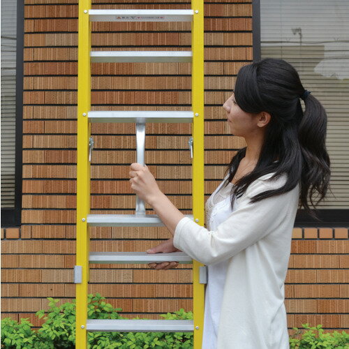 �ԥ� FRP��2Ϣ�Ϥ��� FRP-2L�� 3.4m ( FRP-2L34 ) (��)�ԥ������ݥ쥤����� ( ION25 )