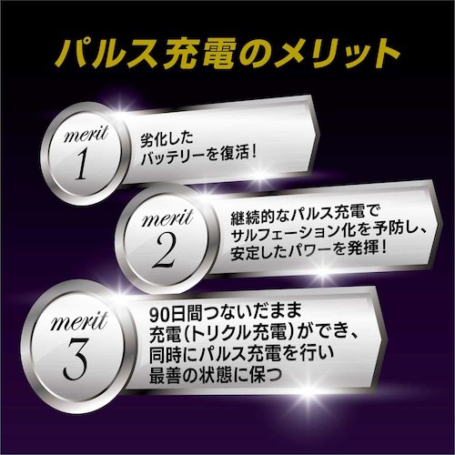 Meltec ( 大自工業 ) 全自動パルス充電器 ( MP-220 )