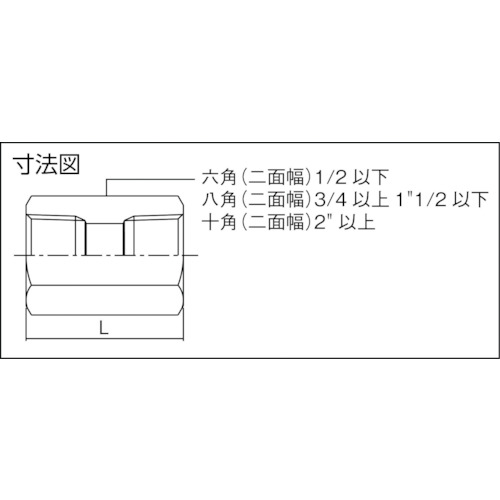 ��SALE���ʡ�FLOBAL ( �ե����Х� ) ϻ��PT�����å�(SCS13A) 04101201 ( V6S-02 )