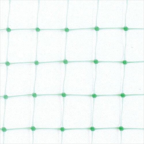 Dio ( ���Υ٥å��� ) �ڤ�����Ļ�ͥå� �� �ܹ礤10mm ��2mXĹ��10m ( 250863 )