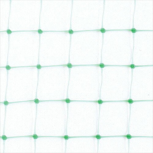 Dio ( ���Υ٥å��� ) �ڤ�����Ļ�ͥå� �� �ܹ礤10mm ��4mXĹ��5m ( 250870 )