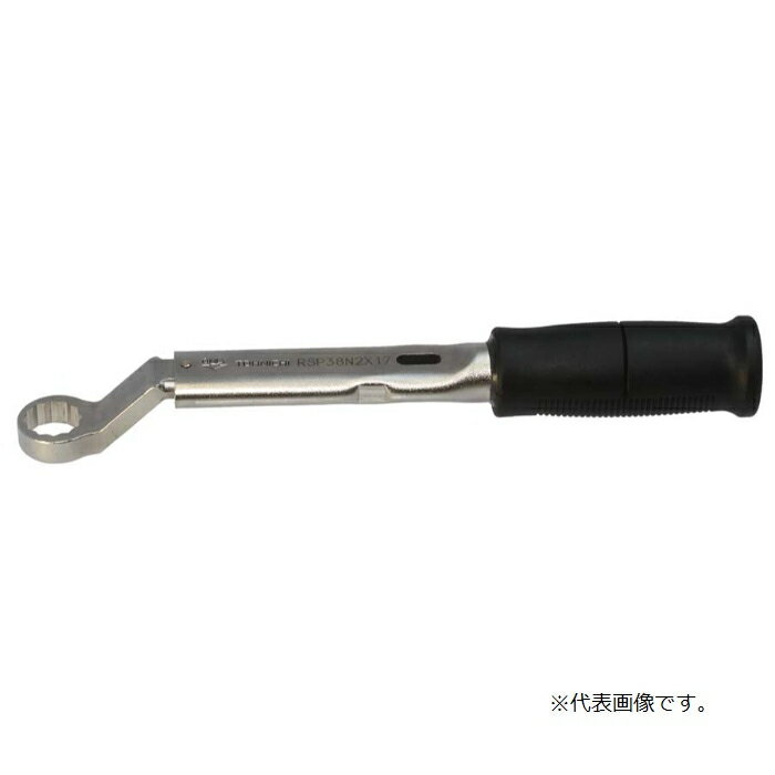  ڥȥ륯ե꡼ñǽưȥ륯 RSP ( RSP38N2X16. ) 