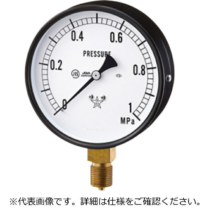 右下精器 一般圧力計(耐振用 ( BVT3/8-75X0.6MPA )