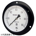第一計器 IPT一般圧力計 ( DUR3/8-75:1MPA ) 第一計器(4)