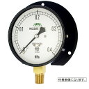 第一計器 TRTタートルゲージ ( TRT-B T G3/8- 100X 0.5MPA ) 第一計器(4)