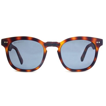 サングラス BlackFlys/ブラックフライズFLY GIBSON FOLD MATT TORTOISE/ SMOKE トート メンズ【送料無料】【あす楽】