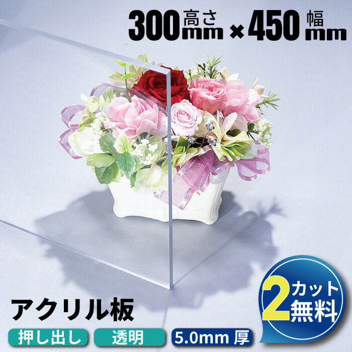 【2カット無料】【ランキング1位受賞 】アクリル板 300×450mm 厚み5mm 透明 押し出し板 オーダーカット アクリルボード アクリル カット加工 アクリルパネル オーダー カット アクリルプレート クリアボード 板 押出 工作 クリア 切断 ホームセンター 安い