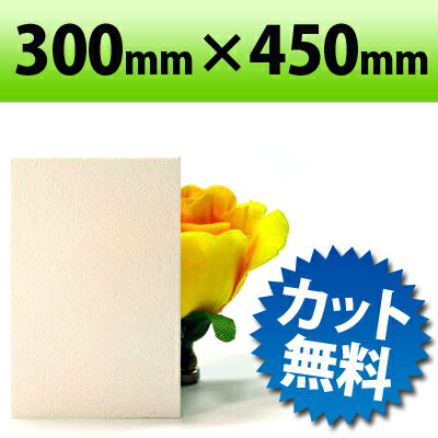 PP板 ホワイト 300×450mm 厚み0.75mm | プラスチック板 プラスチックボード プラスチック プレート ボード パネル ポリプロピレン ディスプレイ ディスプレー カラーボード diy 資材 材料 工作 軽量 軽い カラー 業務用 白 カット アウトドア