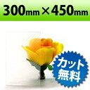 PP板 クリアライン 300×450mm 厚み0.75mm | プラスチック板 オーダー カット pp 板 オーダーカット 加工 ポリプロピレン diy 日曜大工 プラスチック プラスチックボード ギフトラッピング ディスプレイ バインダー インテリア PPシート