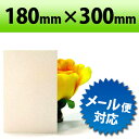 【P5倍】【有償サンプルサイズ/代引き/カット不可】PP板 ホワイト 180×300mm 厚み0.75mm