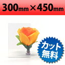 塩ビ板 透明 300×450mm 厚み2mm プラスチック板 クリア 加工 通販 1mm単位のオーダーカット対応