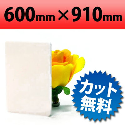 乐天商城 - 塩ビ板 片面つや消しホワイト 910×600mm 厚み3mm マットホワイト 白色 PVC 塩化ビニル板 硬質塩ビ板