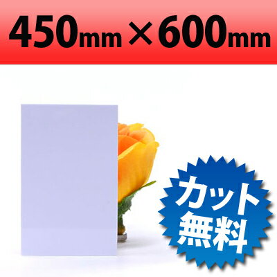 塩ビ板 ホワイト 450×600mm 厚み2mm ツヤあり PVC エンビ 白色 オーダーカット