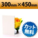 発泡塩ビ板 クールホワイト 300×450mm 厚み1mm 白 建築模型 素材