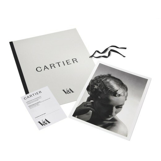 カルティエ展 公式グッズ ホルスト・P・ホルスト作 「ディアマン・ミステリュー」 フォリオ付きプリント(鑑定書付き) Cartier 限定 インテリアアート ロ...