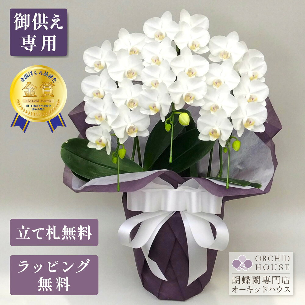 胡蝶蘭 スーパーアマビリス3本立ち 胡蝶蘭 お供え【全国洋らん品評会金賞受賞胡蝶蘭】 胡蝶蘭 お供え ..