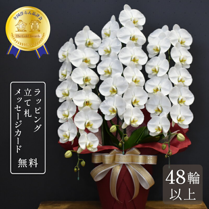 胡蝶蘭 48輪以上 キングエクセレント3本立ち 大輪 蘭 花 白 ギフト プレゼント 鉢植え お祝い 開店祝い 開業祝い 開院祝い 就任祝い 竣工祝い 移転祝い 昇任祝い 退職祝い 叙勲祝い 受章祝い 送料無料のサムネイル