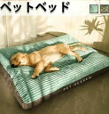 大型犬 ペットベッド ふわふわ 犬 秋 冬 大きいサイズあり 取り外して洗濯可 グリーン ネイビー ペットソファー 猫犬兼用 ペットクッション マット 布団 ベ...
