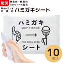 【送料無料】ハミガキシート 10枚入り 防災 歯磨き 赤ちゃん 子供 大人 介護 備蓄