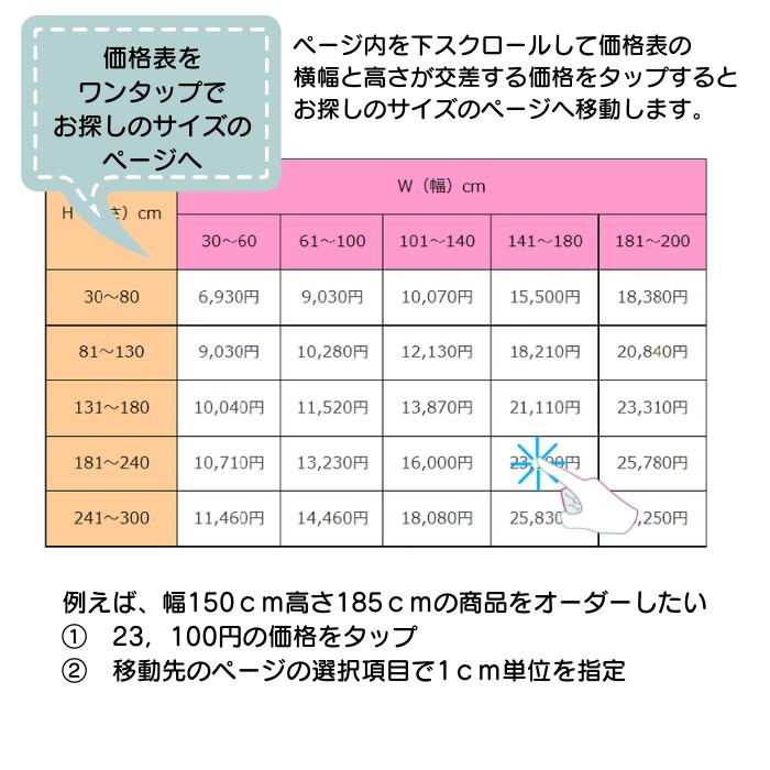 ロールスクリーン オーダー 調光 カーテンレール取り付け【モニター体験30％OFF】 【サイズ確認・調整フォロー致します】 【幅61-100cm高さ131-180cm】 ロールカーテンシェード 間仕切り 目隠し ベーシック