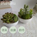 【100円OFFクーポン対象】ct触媒 観葉植物 ミニ 卓上 フェイクグリーン 消臭 サキュレントリフレリウム 消臭アーティフィシャルグリーン エクリア 置き型...