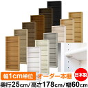日本製 本棚 F★★★★ 低ホルムアルデヒド【イージーロック棚受タイプ】オーダー 本棚 収納 棚 書棚 ラック サイズオーダー 大容量【送料無料】オーダーマルチラック 奥行25cm 高さ178cm 幅60cm【標準タイプ】