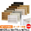 日本製 本棚 F★★★★ 低ホルムアルデヒド【イージーロック棚受タイプ】オーダー 本棚 収納 棚 書棚 ラック サイズオーダー 大容量【送料無料】オーダーマルチラック 奥行25cm 高さ70cm 幅74cm【耐荷重 タフタイプ】