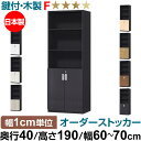 オーダーオフィスストッカー 奥行40(38.5cm)×高さ190(191.1cm)×幅60~70cm 2段扉 本体色ブラック(BK)