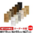 本棚 スリム 薄型 奥行19cm 高さ60cm 幅27cm オーダー本棚 日本製 全棚可動 文庫本収納 コミックラック 書棚 ラック 薄型本棚 収納棚 シンプル フォースター対応 標準タイプ