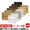 日本製 本棚 F★★★★ 低ホルムアルデヒド オーダー本棚 収納 棚 書棚 ラック サイズオーダー 薄型 オーダーマルチラック 奥行19cm 高さ60cm 幅55cm【標準タイプ】