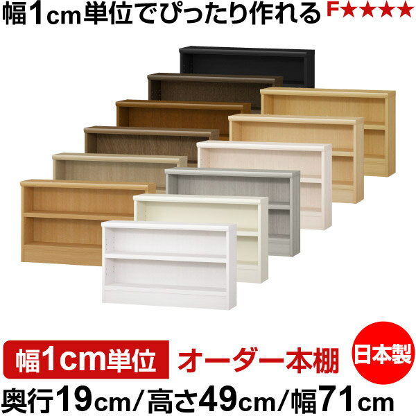 Shelves - 本棚 スリム 薄型 奥行19cm 高さ49cm 幅71cm 日本製 オーダー本棚 幅1cm単位 サイズオーダー 全棚可動 書棚 シェルフ フォースター対応 コミック 文庫本 オープンラック 耐荷重タイプ