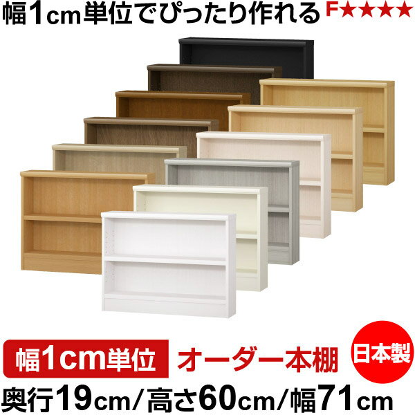 樂天商城 - 本棚 スリム 薄型 奥行19cm 高さ60cm 幅71cm 日本製 オーダー本棚 幅1cm単位 サイズオーダー 全棚可動 書棚 シェルフ フォースター対応 コミック 文庫本 オープンラック 耐荷重タイプ