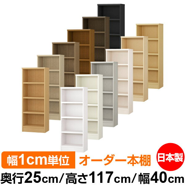 ��ê ���顼�ܥå��� ��1cmñ�̥��������ñ���25cm �⤵117cm ��40cm�������� ���� F�������� ����������å� ��Ǽê ���������ޥ����å� ��...