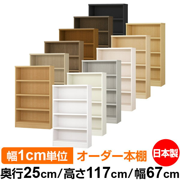 ��ê ���顼�ܥå��� ��1cmñ�̥��������ñ���25cm �⤵117cm ��67cm�������� ���� F�������� ����������å� ��Ǽê ���������ޥ����å� ��...