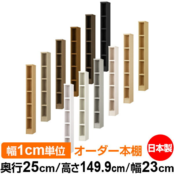 ��ê ���顼�ܥå��� ��1cmñ�̥��������ñ���25cm �⤵149.9cm ��23cm�������� ���� F�������� ����������å� ��Ǽê ���������ޥ����å�...