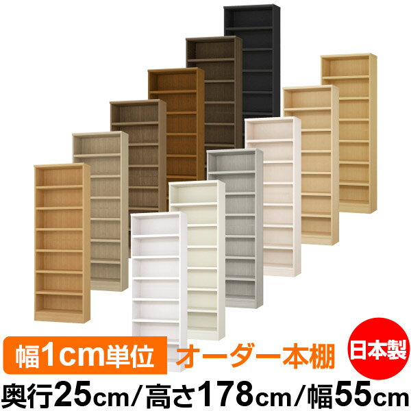 ��ê ���顼�ܥå��� ��1cmñ�̥��������ñ���25cm �⤵178cm ��55cm�������� ���� F�������� ����������å� ��Ǽê ���������ޥ����å� ��...